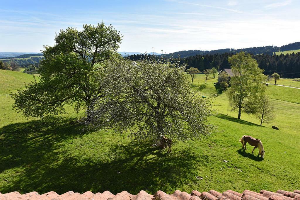 Villa Bio-Bauernhof Heidegger Möggers Exterior foto