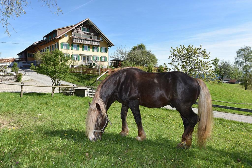 Villa Bio-Bauernhof Heidegger Möggers Exterior foto